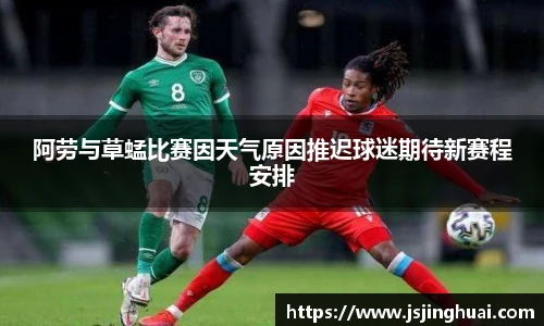 阿劳与草蜢比赛因天气原因推迟球迷期待新赛程安排